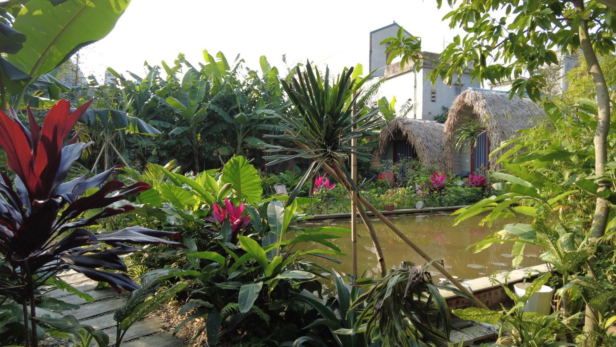 Amy House Apartment Ninh Binh Exterior photo